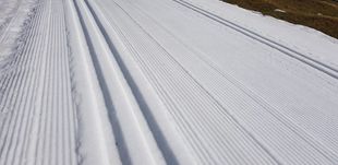 167855756_1627649974101996_6589309929216410408_n